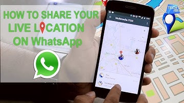 How To Share Live location On Whatsapp Using iPhone