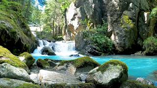 3 Minutes of Pure Serenity – Soothing Forest Waterfall for Deep Relaxation & Sleep | NO MID-ROLL ADS