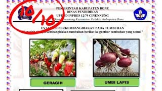 MEMBUAT GAME EDUKATIF DROP AND DRAG DI LIVE WORKSHEET MEMBUAT GAME EDUKATIF DROP AND DRAG DI LIVE WORKSHEET