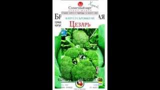 Семена капусты оптом