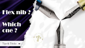 Flex nib ? which one ⁉️