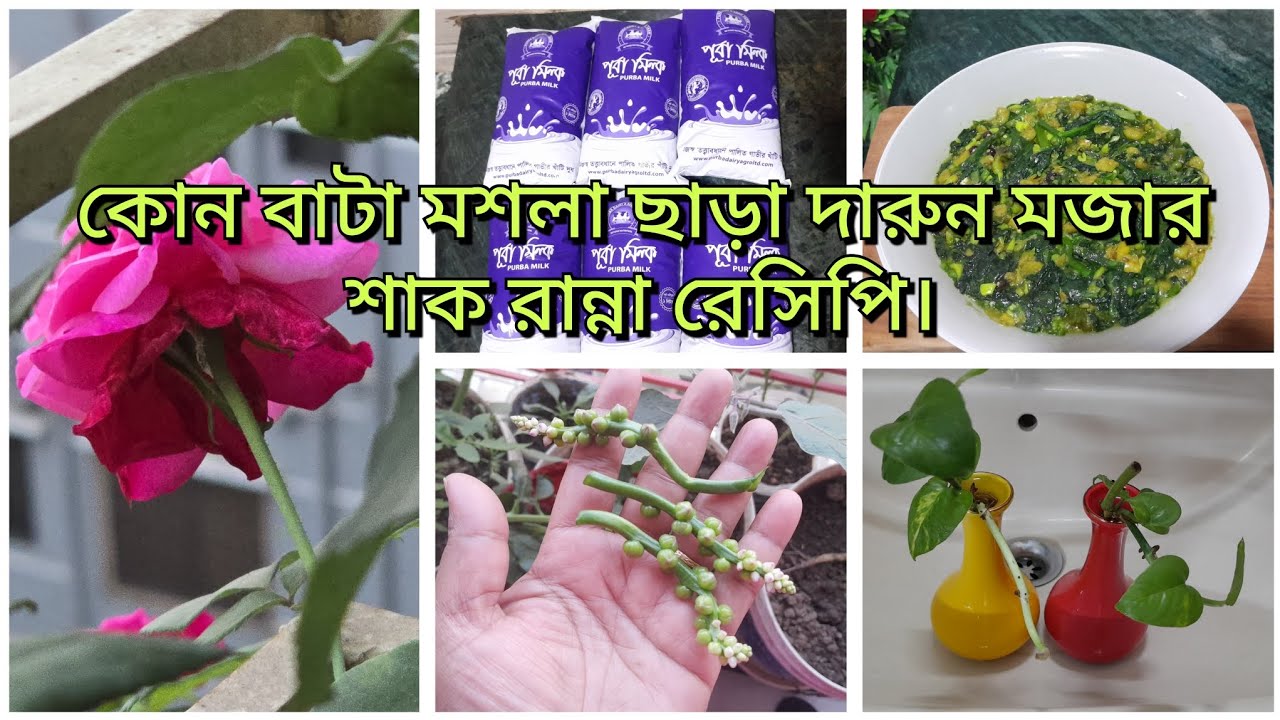 বাহিরের বিরিয়ানি না ঘরের শাকে অনেক তৃপ্তি। #plz_subscribe 