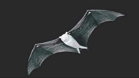 Real Robot Bat-Full Review || Mobile phone ||