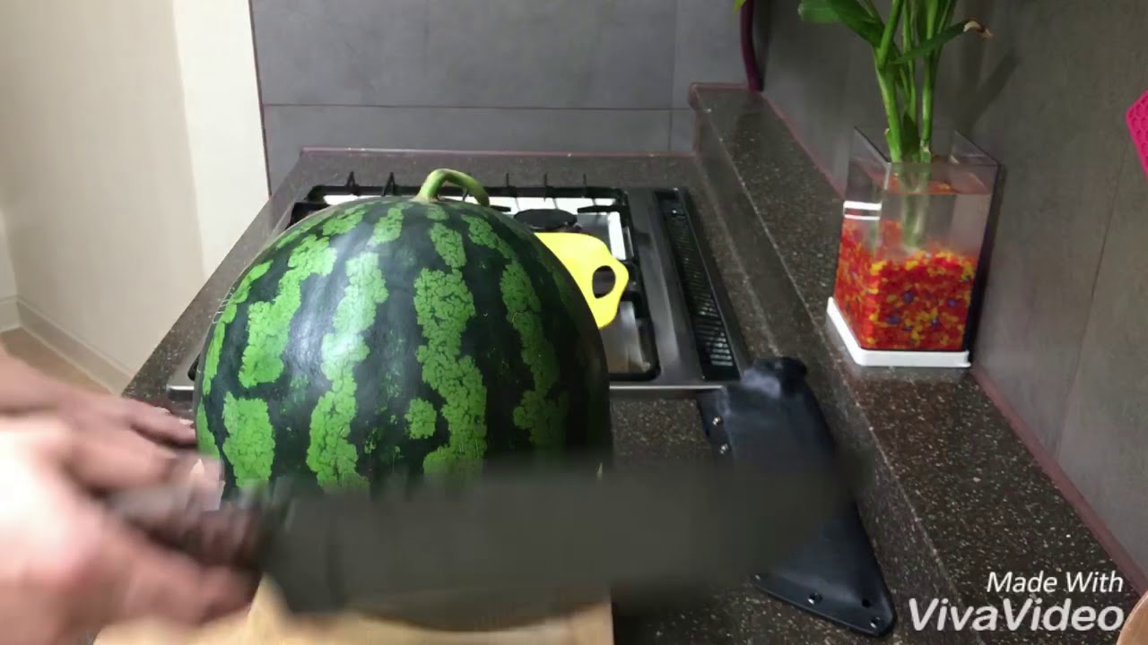 wandertactical knife