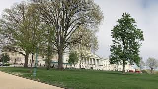 Qqq111Ruby-Aunty Walking