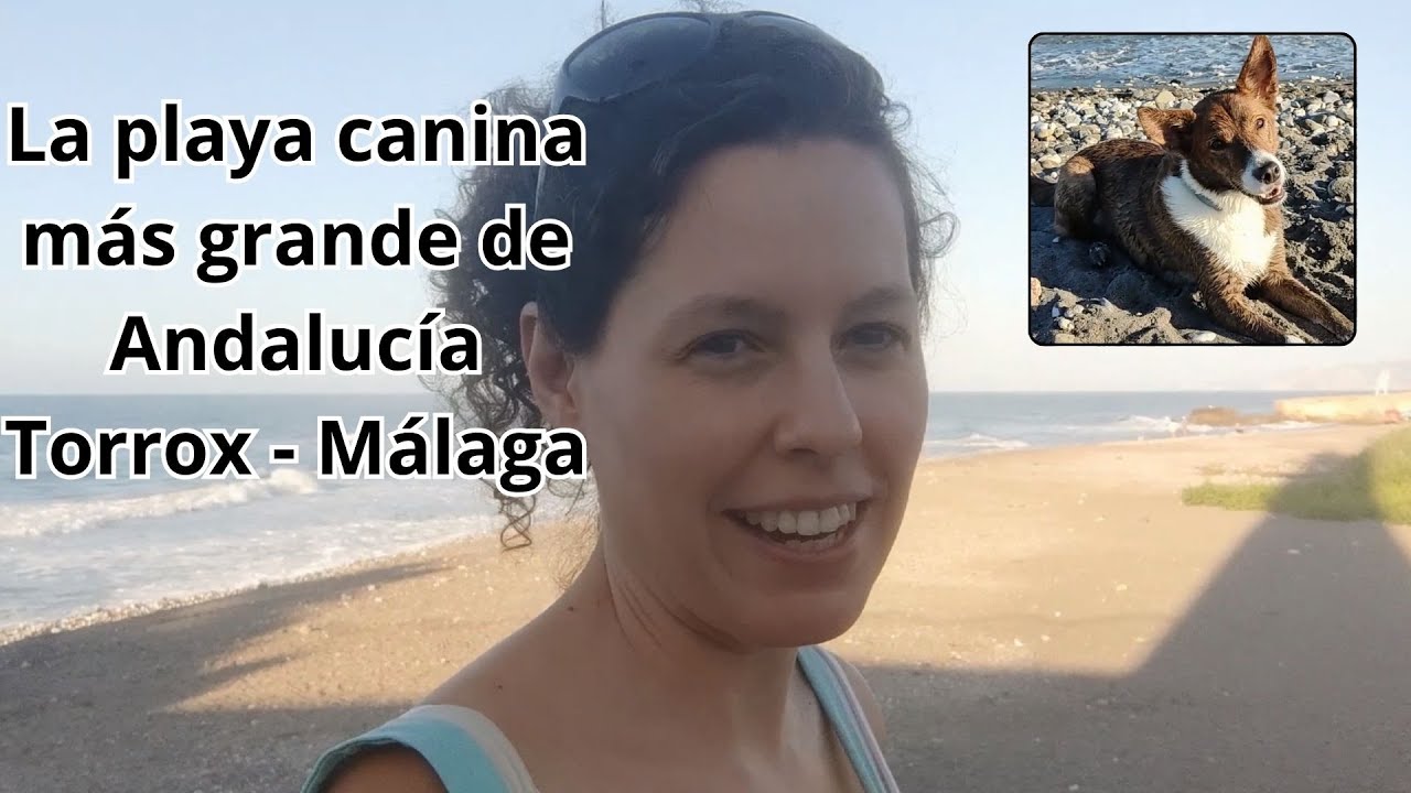 ¿Sabes cuál es la playa canina más grande de Andalucía?