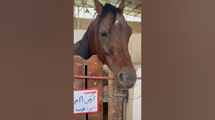 ایشون بنظر ناراحت میاد😢😢