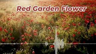 🌺 Red Garden Flower Blooming Bright #GardenBloomX #CrimsonPetals #NatureColor #FloraVibes screenshot 5
