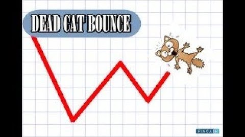DEAD CAT BOUNCE, AGAIN  ????