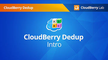 CloudBerry Dedup Server - Intro