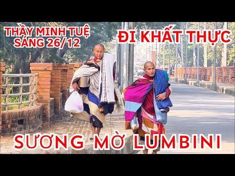 Cô Gái Nghèo Làm NGHỀ SHIPPER Trút Bầu Tâm Sự Với Một NGƯỜI XA LẠ Mà Không Hề Biết Anh Là ÔNG CHỦ...