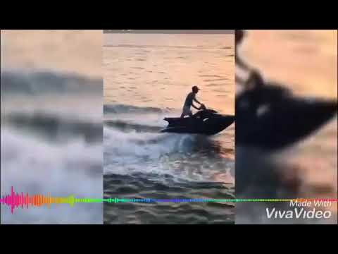 حالات واتس جامده هاتلي فوديكا وشيفاز