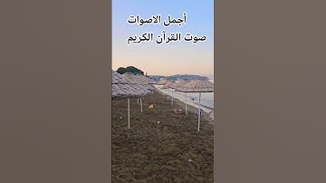 قران كريم بصوت جميل #القارئ الشيخ ماهر المعيقلي 😍 #اكسبلور #المصحف #راحة_نفسية #تصويري #ترند