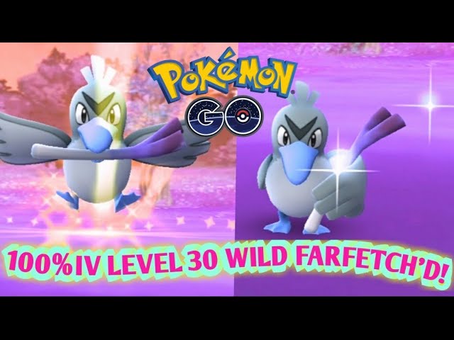 Farfetch'd max CP for all levels - Pokemon Go