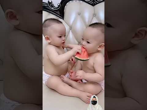 Viral Videos Trending TikTok WhatsApp Status Comedy Funny Video short funnyvideos