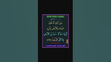 سورة الروم - سورة 30 - اية 25