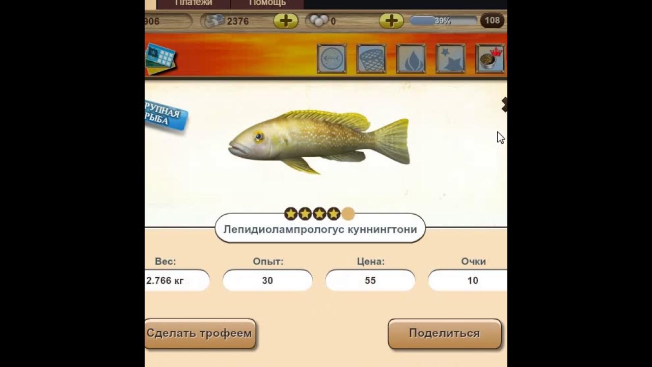 На что ловить легендарную рыбу