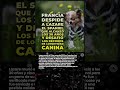 🐶 Francia despide a Lazare, el spaniel que alcanzó los 30 años y desafió los récords de longevidad
