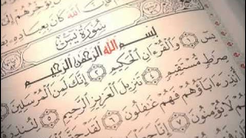 اجمل تلاوة للشيخ الصغير محمد البراك سورة ياسين