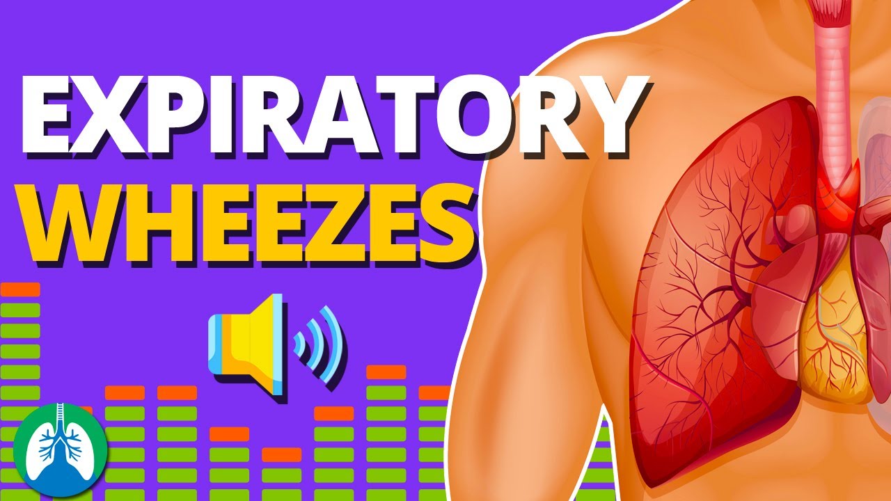 Lung Sounds And Auscultation Made Easy (2023)