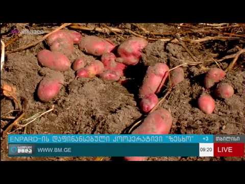 ENPARD-ის დაფინანსებული კოოპერატივი “ზესხო”