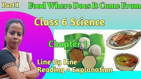 Class 6 Science Chapter 1 | Food Where Does It Come From | Food, Variety, Materials and Sources