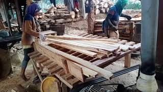 Kilang Sowmil Belah Kayu Getah Malaysia || Tkw Kerja Kilang Kayu Getah