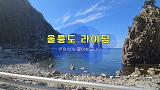 울릉도 전동휠 라이딩은 어떤지 주민에게 물어봤습니다. #전동휠 #울릉도 #라이딩