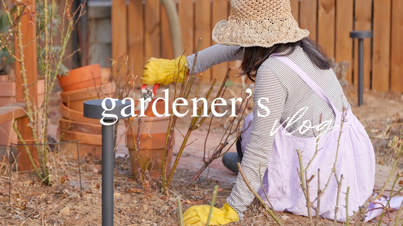 О чём говорит сад спустя 13 лет | Подсыпка земли, обрезка роз и борьба с вредителями