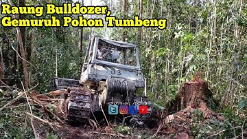 operator legend skill dewa alat berat skidder logging bulldozer tarik kayu dari hutan