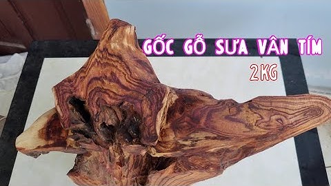 Gốc Gỗ Sưa Vân Tím Hồng 2.05kg Cần Ra Đi Để Lấy Tiền Đong Gạo | Gỗ Sưa Đỏ VN