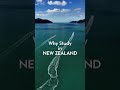 Why Study in New Zealand? | Santamonica Study Abroad
