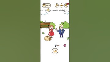 Brain Find Level 17 Help Me, My Cat Is Missing | Walkthrough Video