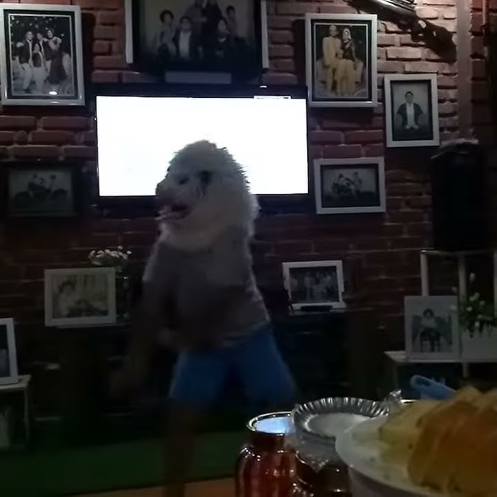 Anak joget lucu pake topeng singa