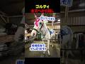 ゴルティ新天地へ。金沢で踏み出す新しい一歩
