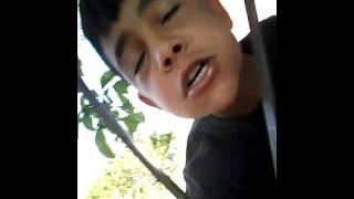 Koduğumun Tabancaları