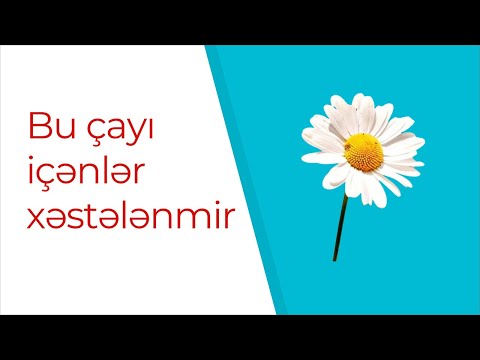 Çobanyastığı çayının faydaları  - Çobanyastığı necə dəmlənir