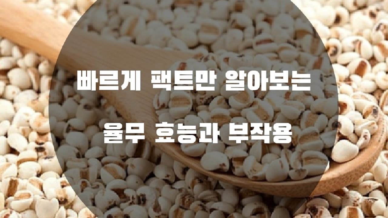 율무 효능과 부작용 , The effects and side effects of Yulmu - YouTube