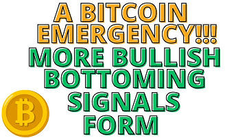 A Bitcoin Emergency - More BTC Bottoming Signals Form - Signals Nailed the BTCTop & Now a BTC Bounce