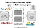 Sqoop 7: How to configure Sqoop with Oracle