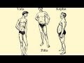 The Ayurvedic Body Types and their Characteristics (Vata, Pitta, Kapha)