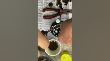 Setting ignition points at 0.40mm at distributor for Fiat 500 Spinterogeno ignition #shorts