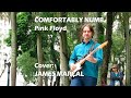 COMFORTABLY NUMB (Pink Floyd) Cover: James Marçal