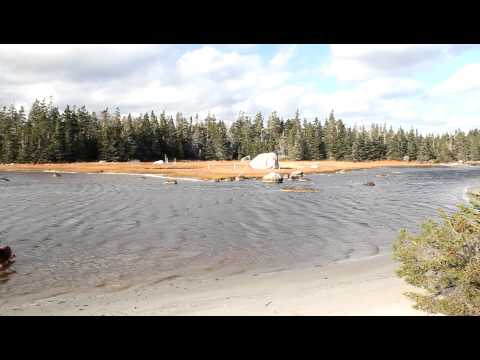 Secluded Beach, St. Catherines River, Kejimkujik S...