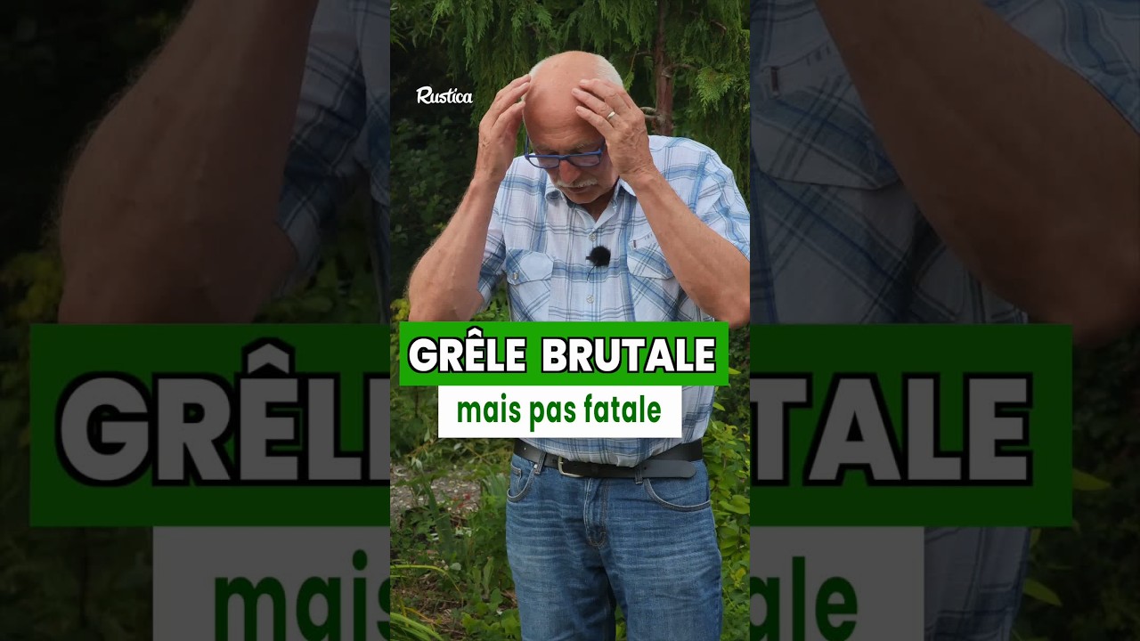Orages, grêles... comment sauver le jardin ?