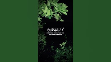#تلاوة_خاشعة #قرآن #quran #سورة #خشوع