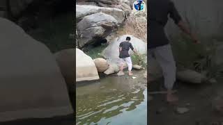 المغامر نايف المالكي يقوم بصيد الكوبرا العربية في محافظة أضم