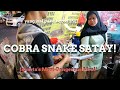 Makan Sate Ular Kobra di Mangga Besar Jakarta ! | Auto Kena Virus Corona (COVID-19) !