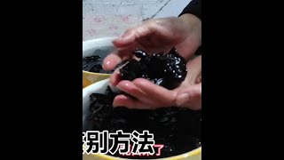 #木耳怎样签别好坏！大春小辉的林场生活！
