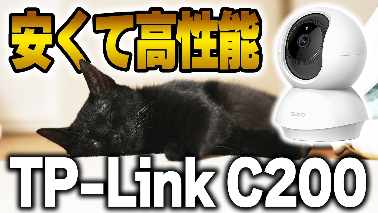 We've installed a pet camera for our rescued cat! Let's check the